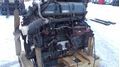 DD 14.0L 06R0813198  [det_img_303686]