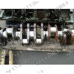   [det_img_722000299930]