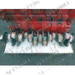 BU 3608889/3681911/4925762/4330732/3691444/3681910  [det_img_722000301017]