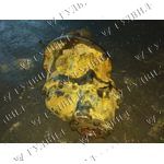   [det_img_722000301542_0]